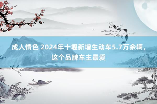 成人情色 2024年十堰新增生动车5.7万余辆，这个品牌车主最爱