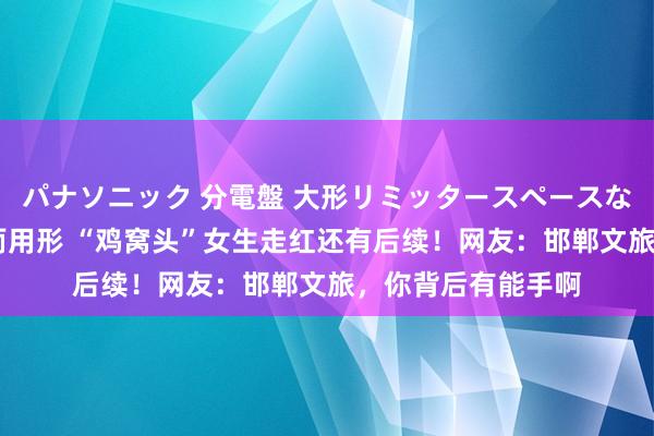 パナソニック 分電盤 大形リミッタースペースなし 露出・半埋込両用形 “鸡窝头”女生走红还有后续！网友：邯郸文旅，你背后有能手啊