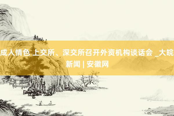 成人情色 上交所、深交所召开外资机构谈话会 _大皖新闻 | 安徽网