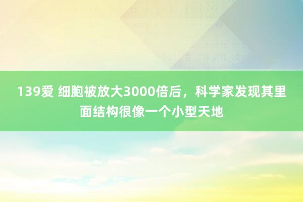 139爱 细胞被放大3000倍后，科学家发现其里面结构很像一个小型天地