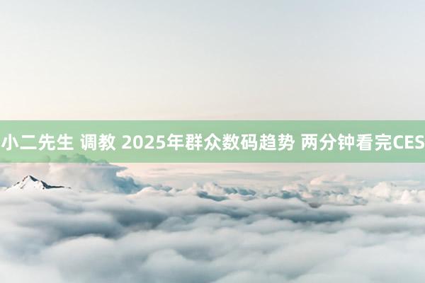 小二先生 调教 2025年群众数码趋势 两分钟看完CES