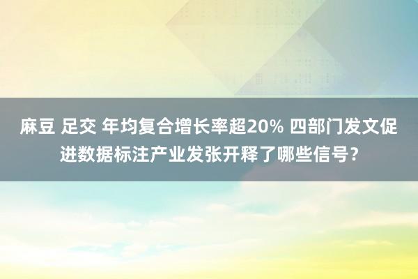 麻豆 足交 年均复合增长率超20% 四部门发文促进数据标注产业发张开释了哪些信号？