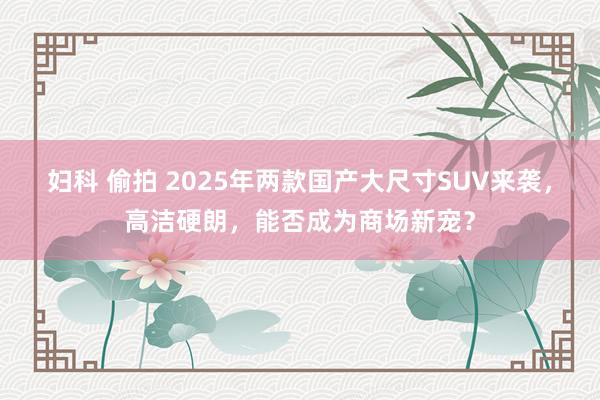 妇科 偷拍 2025年两款国产大尺寸SUV来袭，高洁硬朗，能否成为商场新宠？