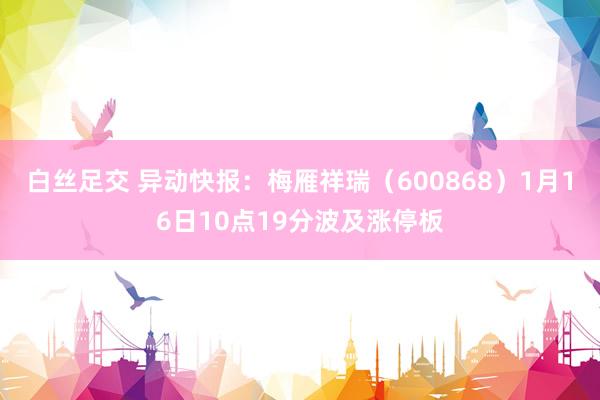 白丝足交 异动快报：梅雁祥瑞（600868）1月16日10点19分波及涨停板